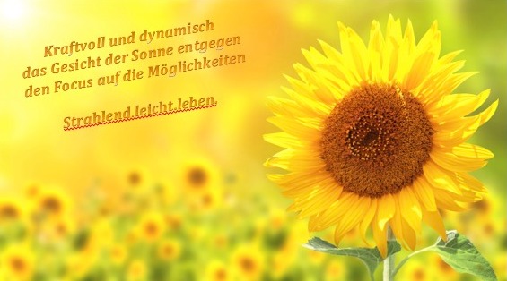 Sonnenblume-kraftvoll-dynamisch