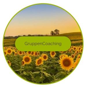 gruppencoaching_screenshot